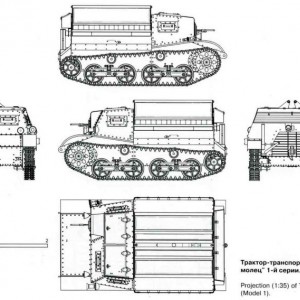 image (19).jpg