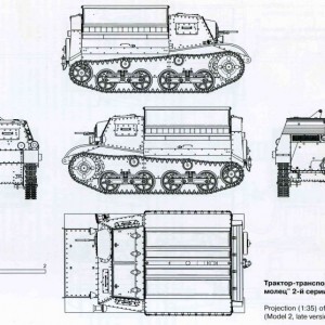image (20).jpg