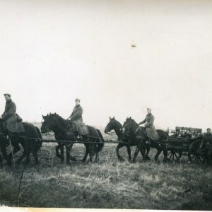 img430.jpg