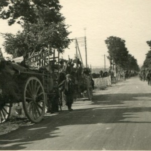 img437.jpg