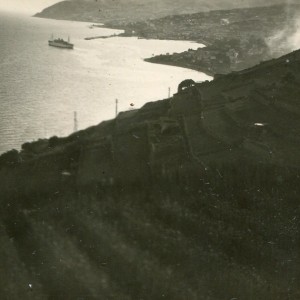 img447.jpg