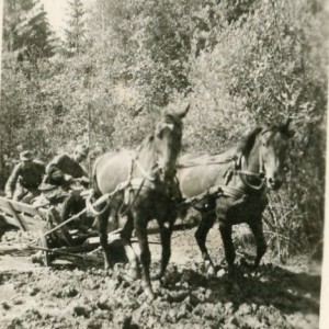 img421.jpg