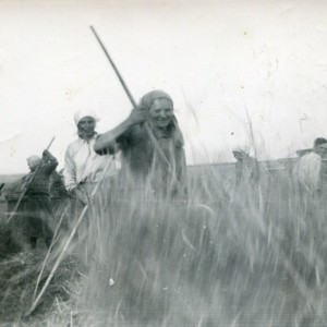 img402.jpg