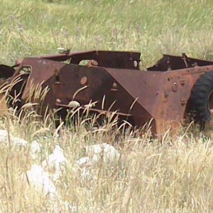 14284269811817[1].jpg