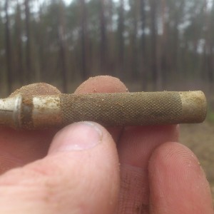 alutaguse 5.jpg