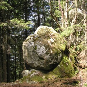 P1010286.JPG