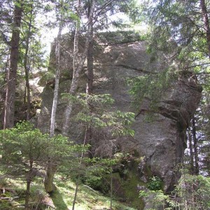 P1010288.JPG