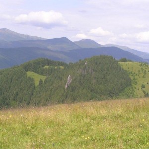 P1010291.JPG