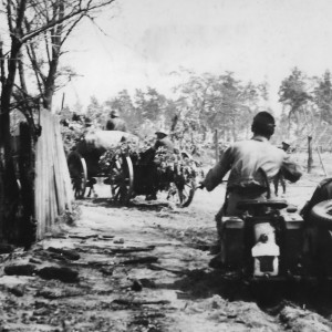 Frontul_de_Est_22_august_1942_Kuban.jpg