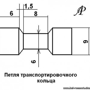 6040506.jpg