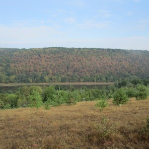 IMG_2013.JPG