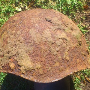 Pikasilla 7.jpg