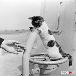 eaa222565cce369e814b55871019c0b2.jpg