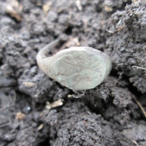 IMG_2245.JPG
