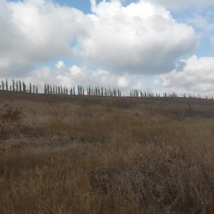 20151024_115453.jpg
