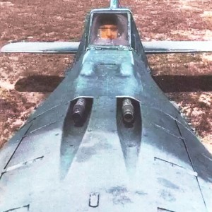 FW-190~~~~~~....jpg