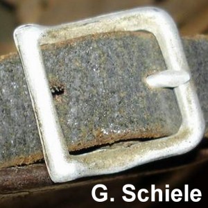 G. Schiele Loburg 1937 ф1z.jpg