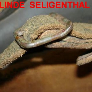 H. EGER & LINDE  SELIGENTHAL .III  1941 ф1z.jpg