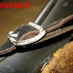 RB Nr. 0.0365.0012 фz.jpg