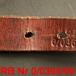 RBNr 0.0365.0012 cz.jpg