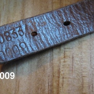 RBNr 0.0833.0009 ф1z.jpg