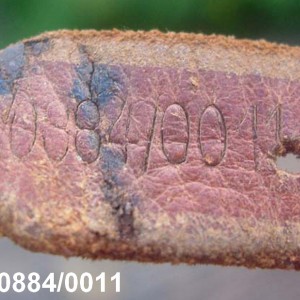 RBNr 0.0884.0011z.jpg