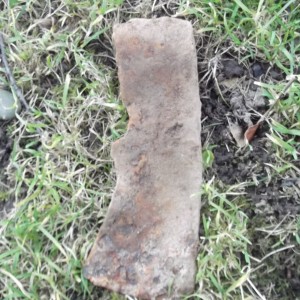 DSCF1009.JPG
