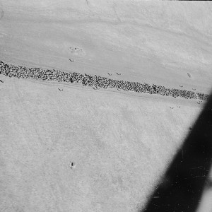 1272173041_10427-5.jpg