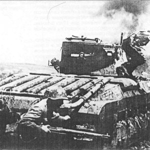 tmp2FE-99.jpg