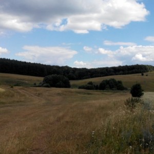 2015702150022.jpg