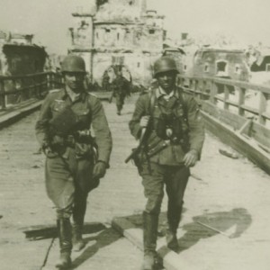 4527045.jpg