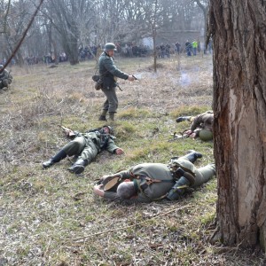Нововоронцовка 2016
