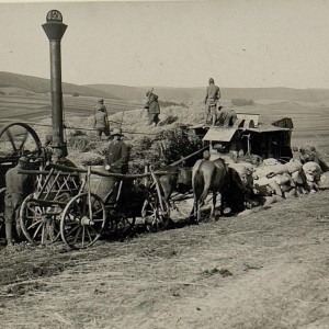 Dreschmaschine bei Dubryncow