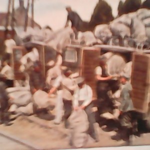 War