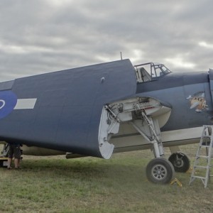 DSC06137 (1024x576)