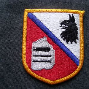 Нашивка института иностранных языков СВ США.