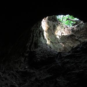 IMG_2261