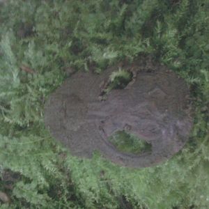 20160605_161415