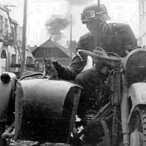 Cat&waffen