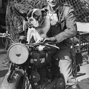 11th-october-1941-a-despatch-rider