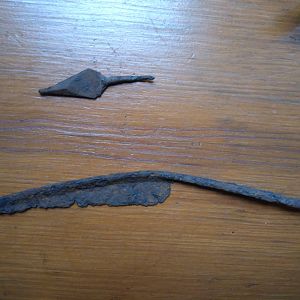 IMG_2016-06-13_074356