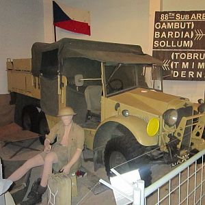IMG_5771_новый размер