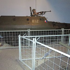 IMG_5863_новый размер