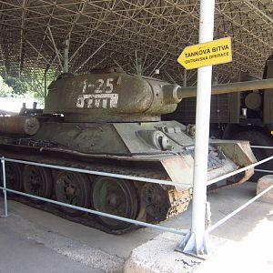 IMG_5921_новый размер