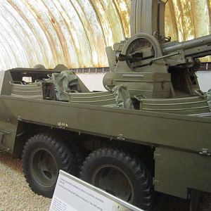 IMG_5979_новый размер