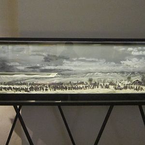 IMG_6229