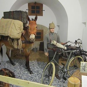 IMG_6294