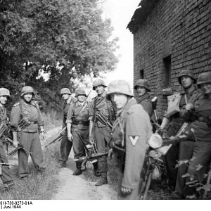 PanzerLehrPolandreenactingfake