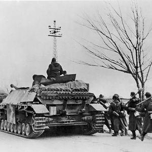 Bundesarchiv_Bild_146-1976-039-09,_Ungarn,_Jagdpanzer_und_Grenadiere_auf_dem_Marsch