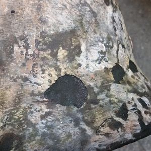 20170104_225756